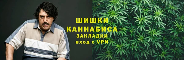 PSILOCYBIN Богородск