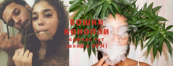 эйфоретик Бронницы